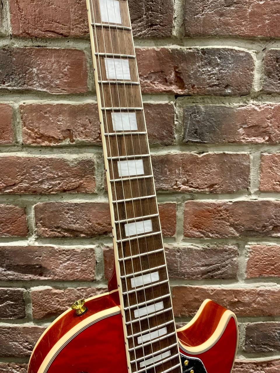 Электрогитара Les Paul Aion Limited Edition - изображение 3