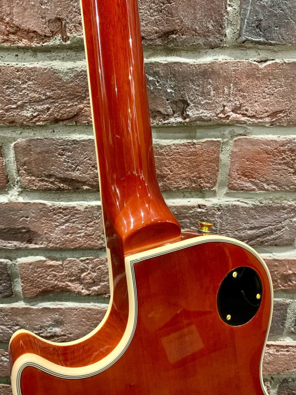 Электрогитара Les Paul Aion Limited Edition - изображение 4