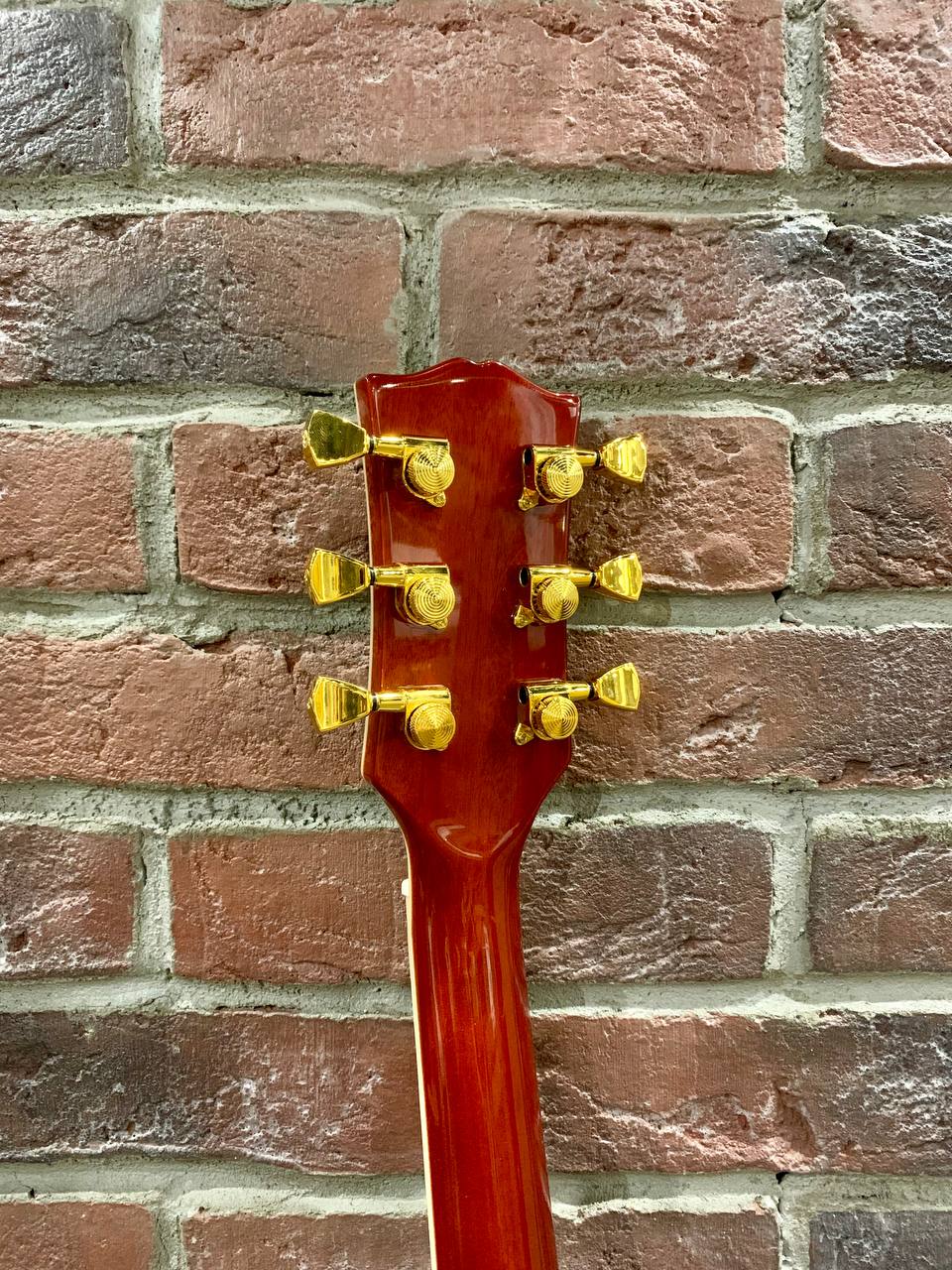 Электрогитара Les Paul Aion Limited Edition - изображение 8