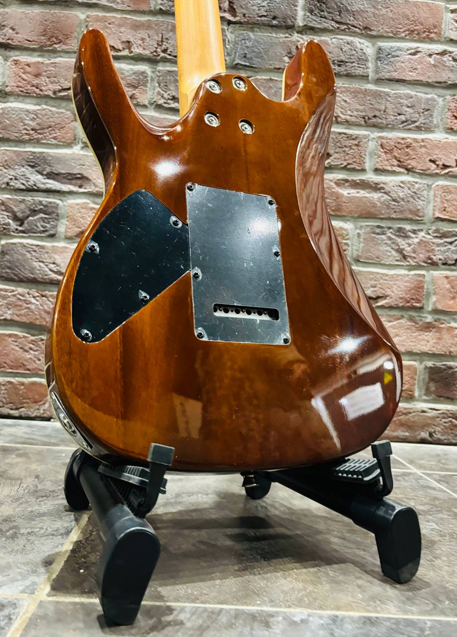 Электрогитара Stratocaster Sqoe HH (Elixir) - изображение 2