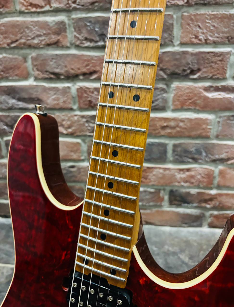 Электрогитара Stratocaster Sqoe HH (Elixir) - изображение 5