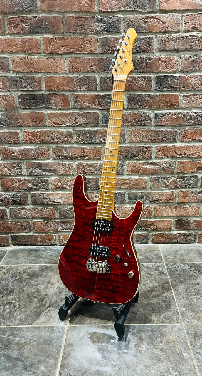 Электрогитара Stratocaster Sqoe HH (Elixir) - изображение 9