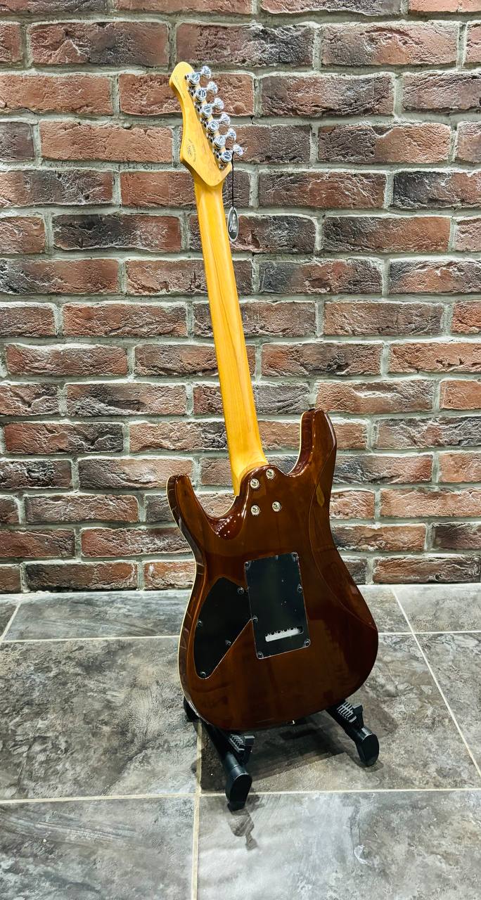 Электрогитара Stratocaster Sqoe HH (Elixir) - изображение 10