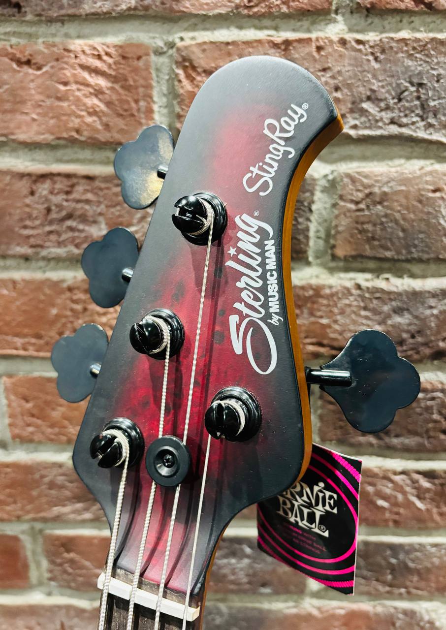 Бас Гитара Sterling by Music Man Dark Scarlet (Индонезия) - изображение 7