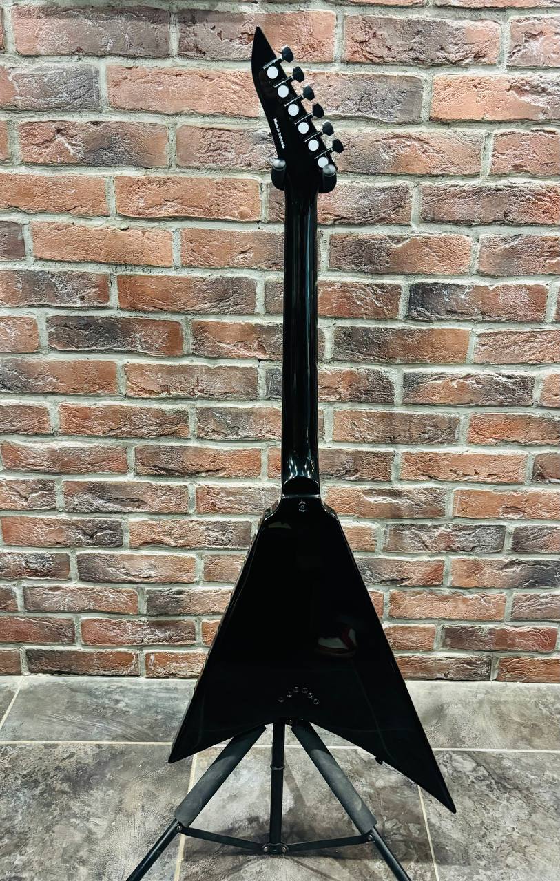 Электрогитара Arrow RCG Custom Shop RR-2 - изображение 10