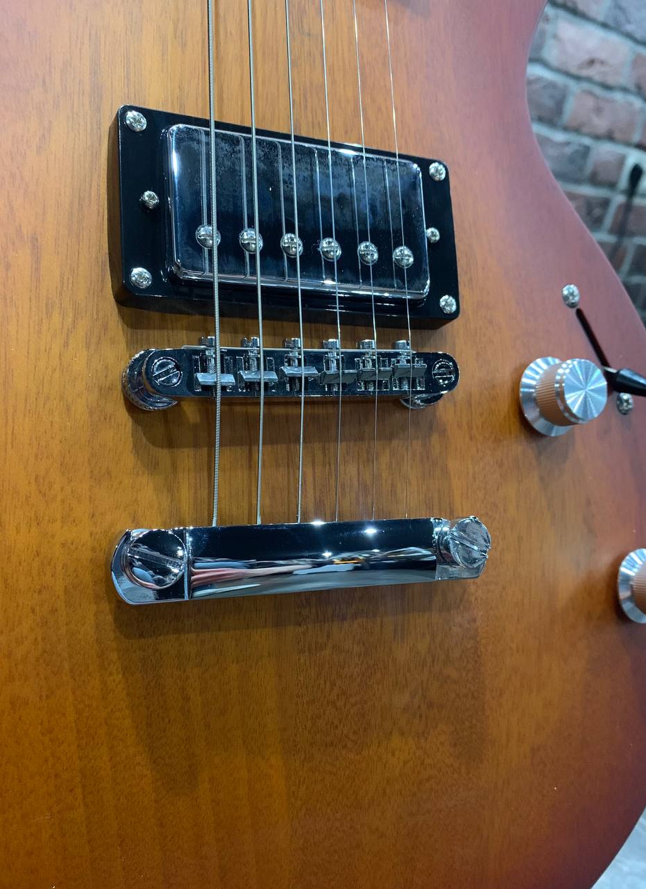 Электрогитара EART Guitar EGPP-610 Honey Burst - изображение 3