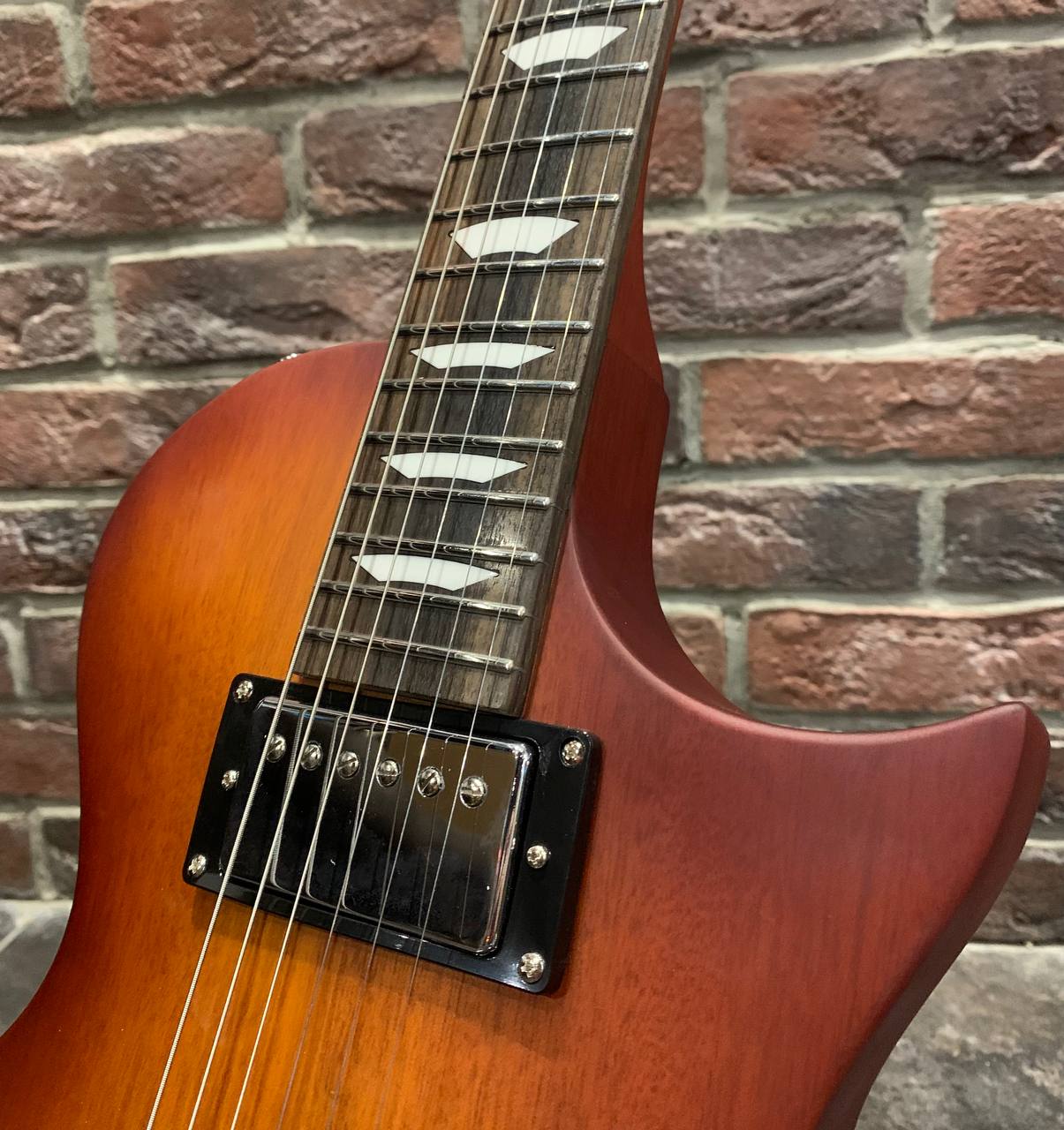Электрогитара EART Guitar EGPP-610 Honey Burst - изображение 5