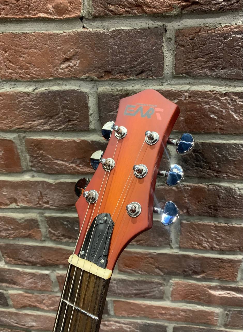Электрогитара EART Guitar EGPP-610 Honey Burst - изображение 7