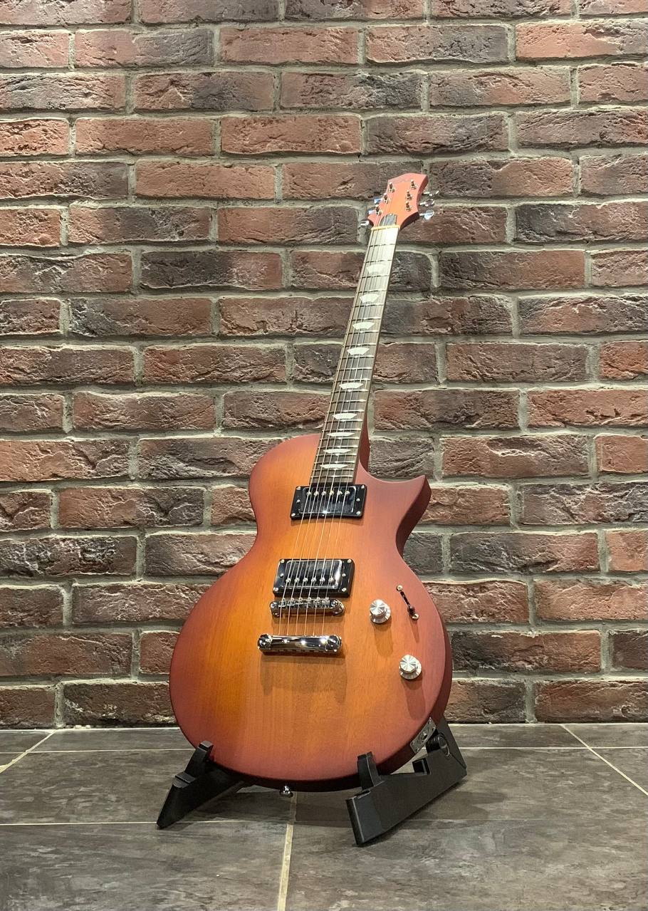 Электрогитара EART Guitar EGPP-610 Honey Burst - изображение 9