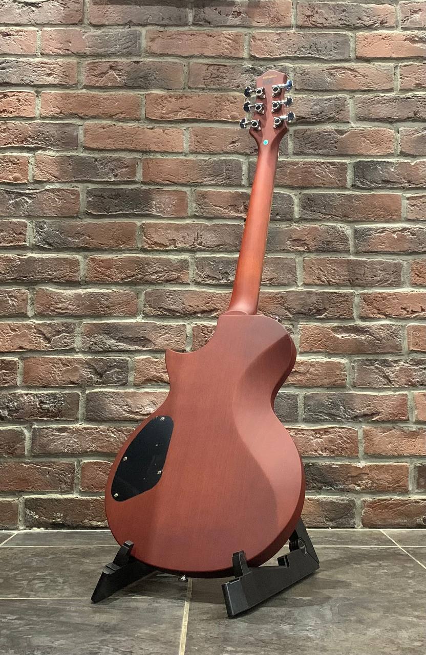 Электрогитара EART Guitar EGPP-610 Honey Burst - изображение 10