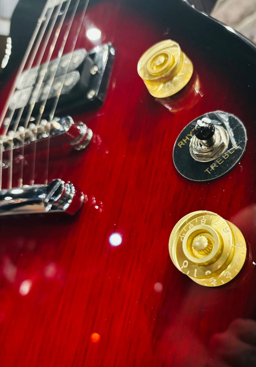 Электрогитара Les Paul RDS HH - изображение 5