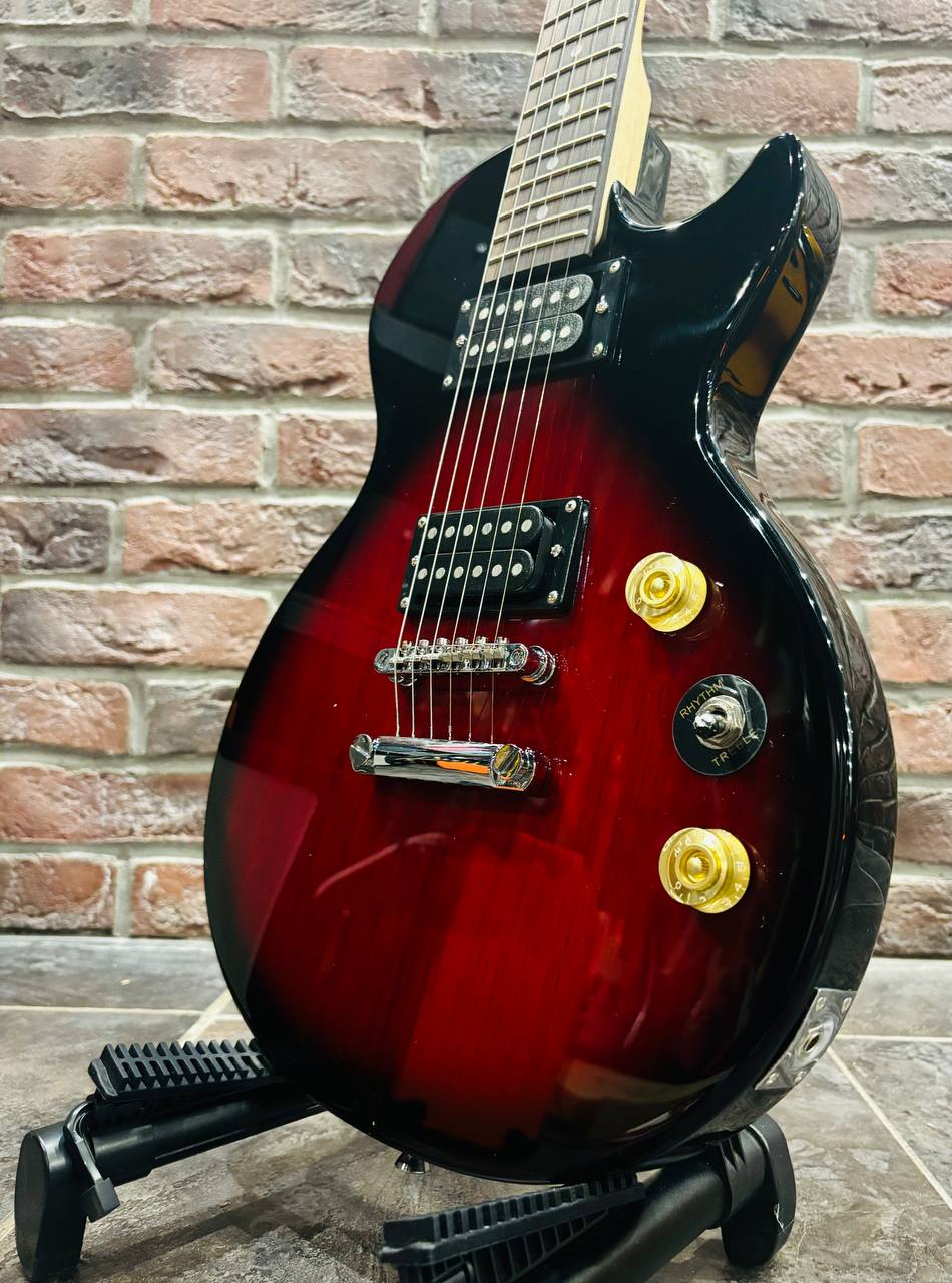 Электрогитара Les Paul RDS HH - изображение 3