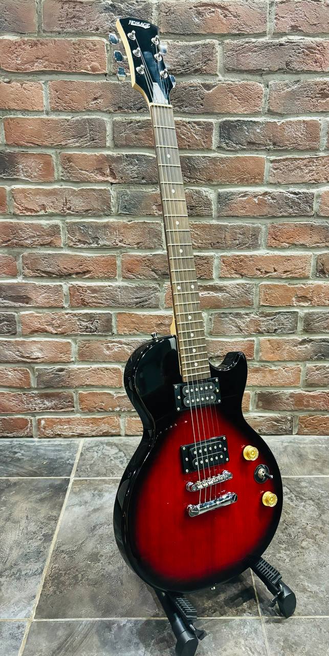 Электрогитара Les Paul RDS HH - изображение 9