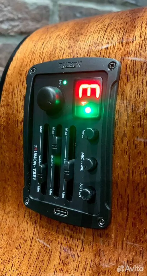 Электроакустическая Гитара Trumon 150 TF-SG-Е - изображение 4