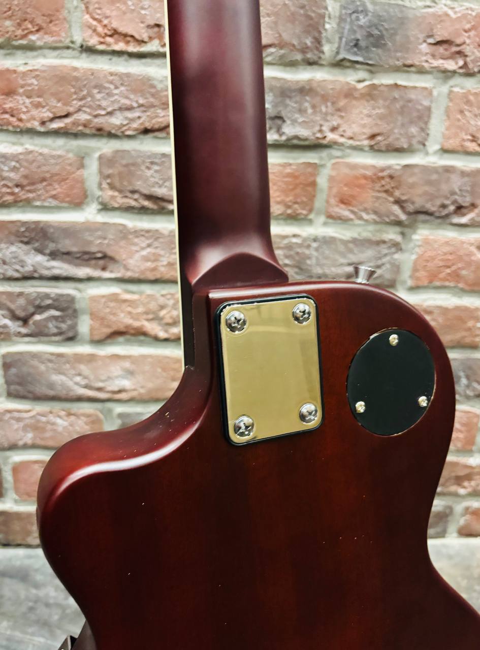 Электрогитара Les Paul Tario HH Custom Shop - изображение 6
