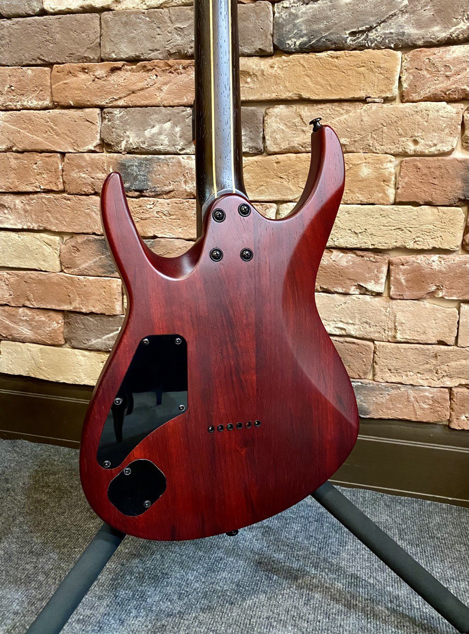 Электрогитара EART Guitars H6-PRO Natural - изображение 2