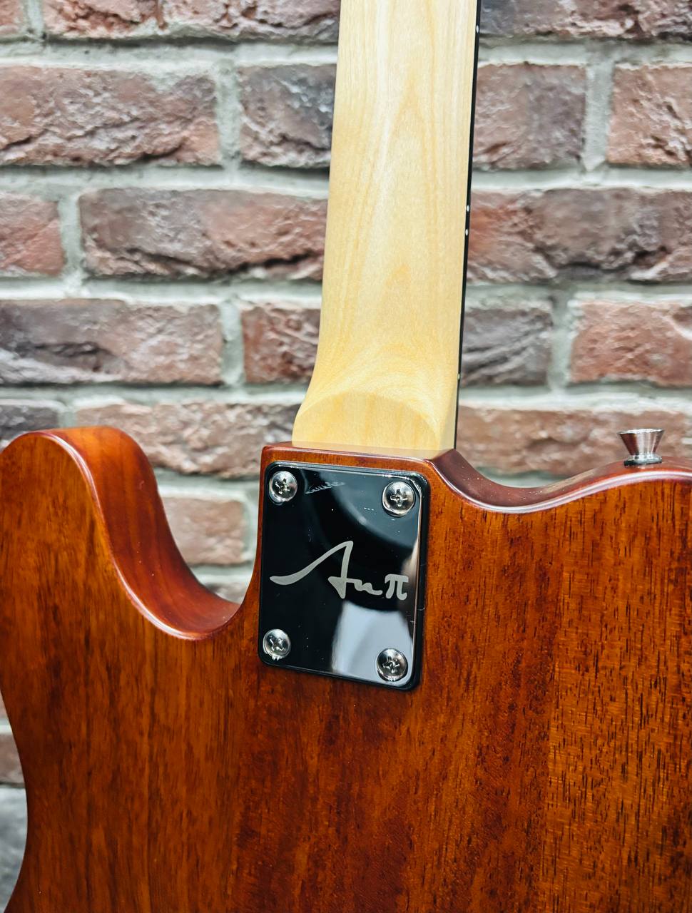 Электрогитара Aria 2 Telecaster Custom Shop - изображение 6