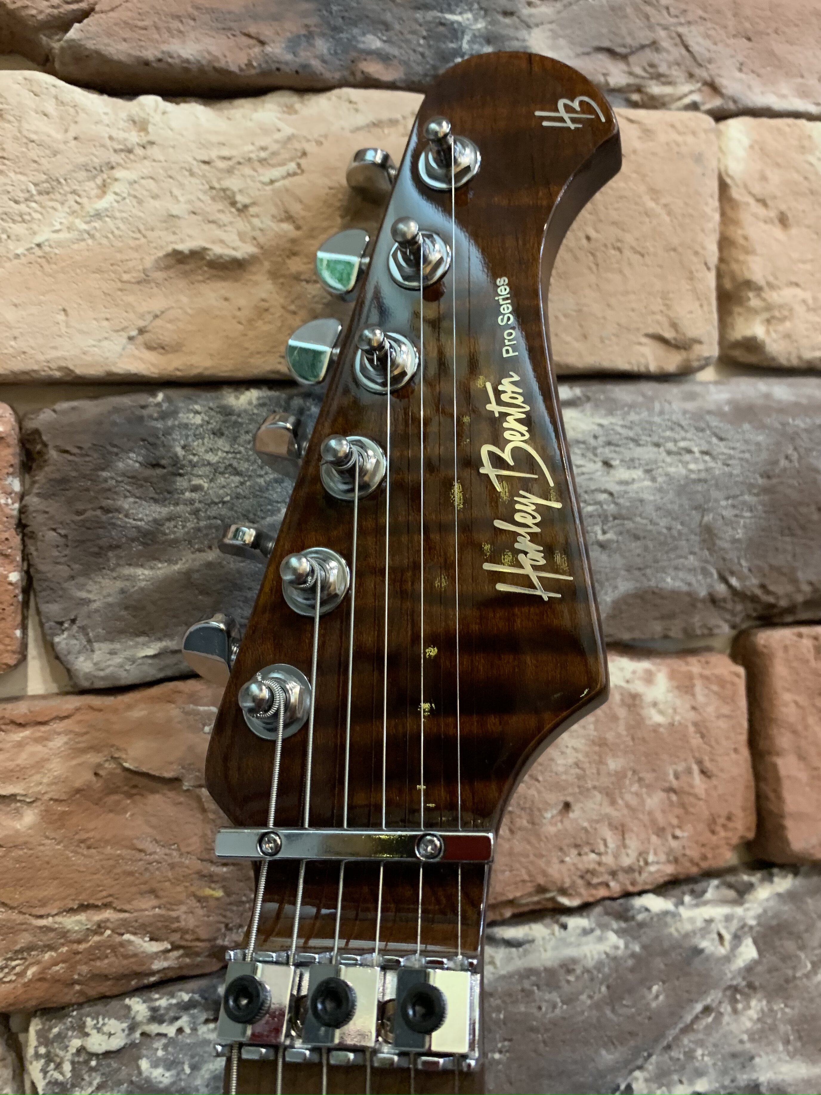 Электрогитара Harley Benton Fusion 3 HH Floyd Rose (Индонезия) - изображение 7