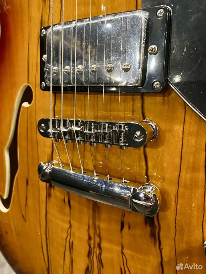 Электрогитара Archtop (Арктоп) - изображение 2