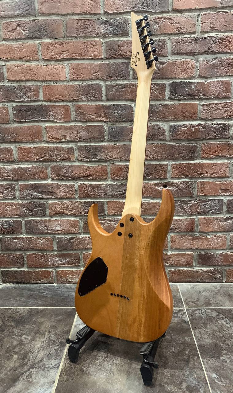 Электрогитара Ibanez RG 421 M - изображение 10