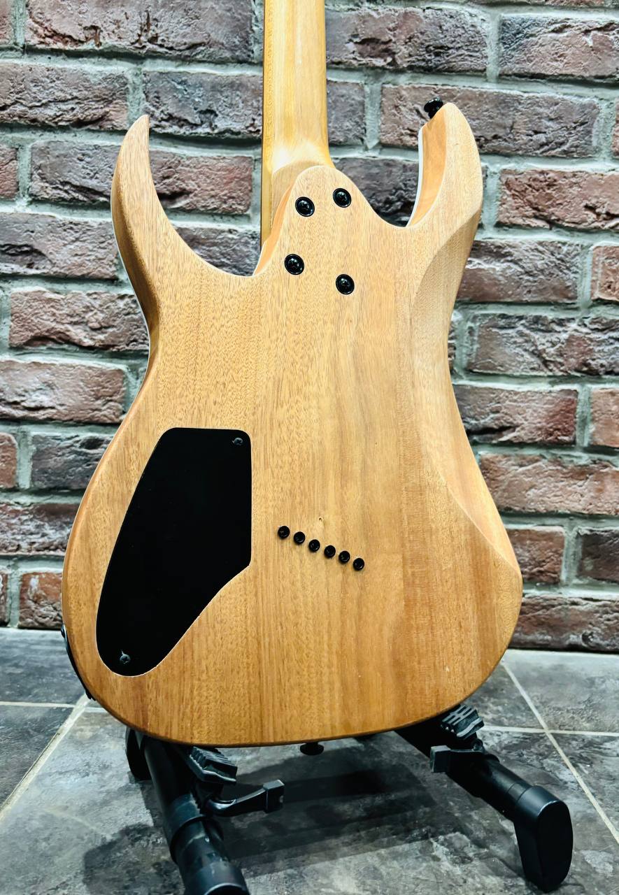 Мультимензурная Электрогитара Real Rock MS-6 + Комбоусилитель 50 ват (комплект) - изображение 5