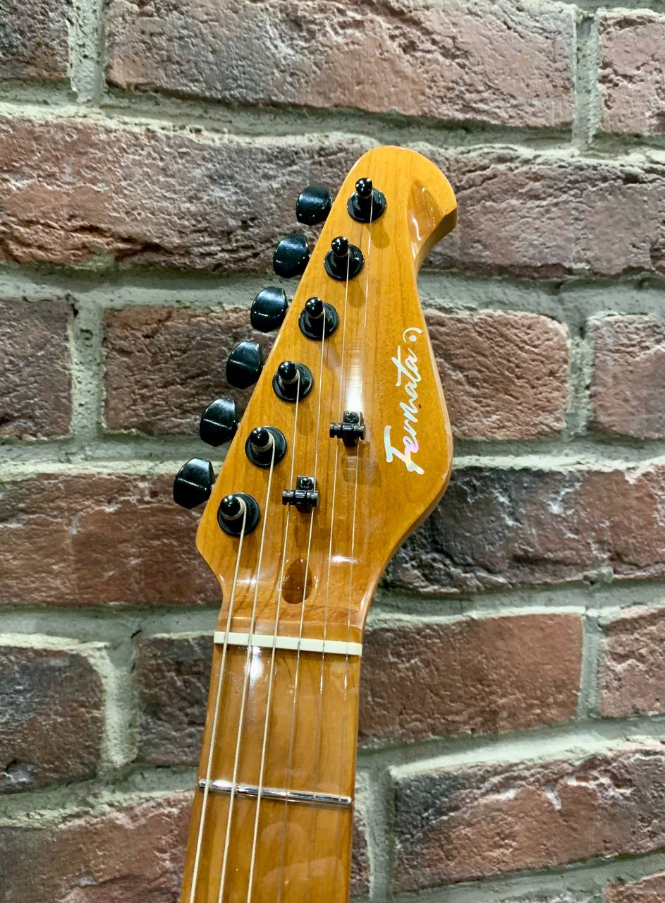 Электрогитара Fernata HH Telecaster (Эксклюзив) - изображение 8