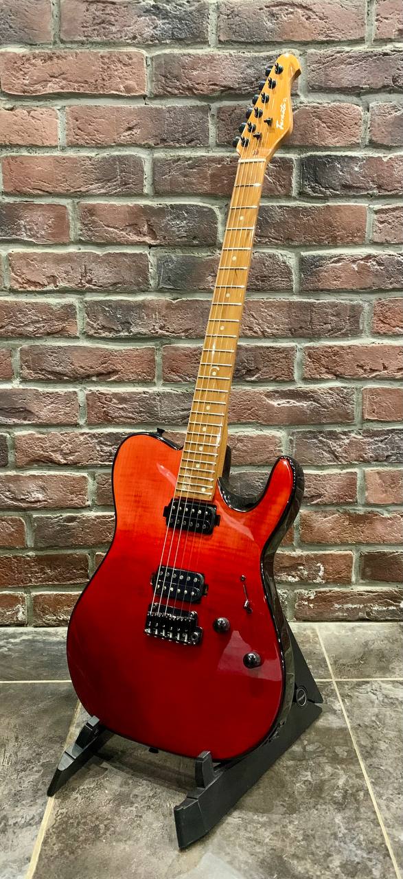 Электрогитара Fernata HH Telecaster (Эксклюзив) - изображение 10