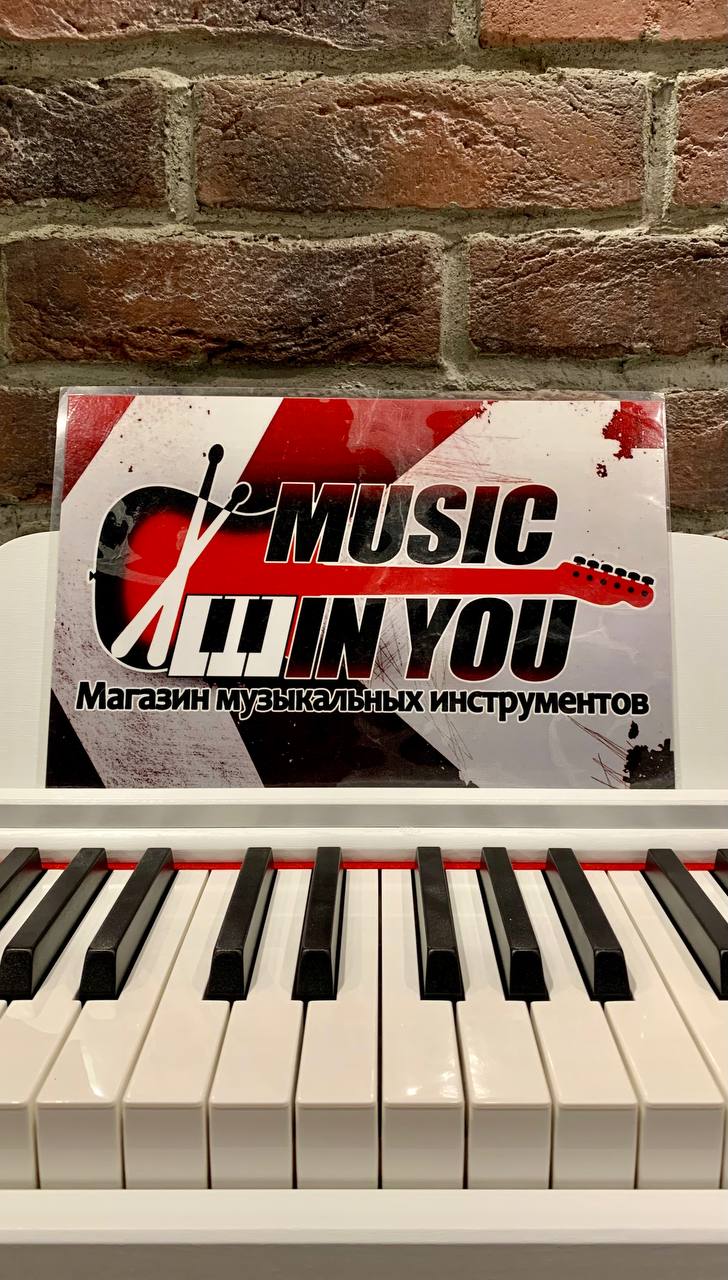 Цифровое Пианино для Музыкальной Школы Emily D-47 WH - изображение 5