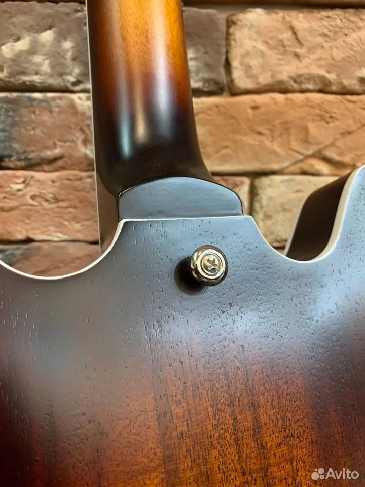 Электрогитара EART Guitars E-335 Tobacco - изображение 6
