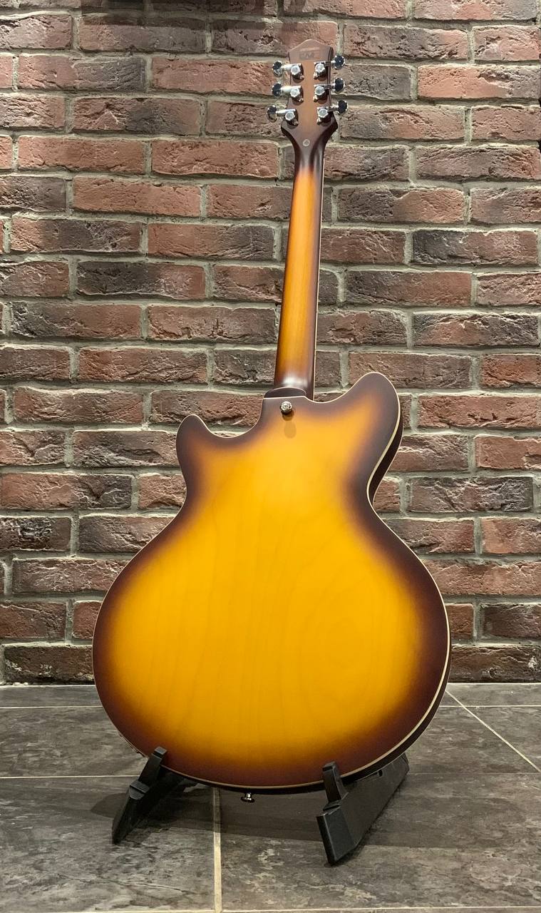 Электроакустическая Гитара EART Guitar E-325 Tobacco - изображение 11