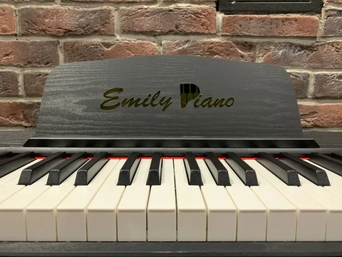 Цифровое Пианино для Музыкальной Школы Emily D-47 BK