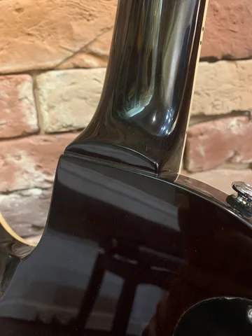 Электрогитара ESP LTD EC-256FM Dark Brown (Индонезия) - изображение 5