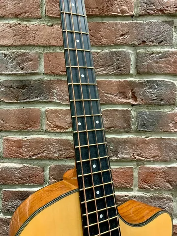 Акустический Бас с Подключением Peavay EQ (Массив Ели)