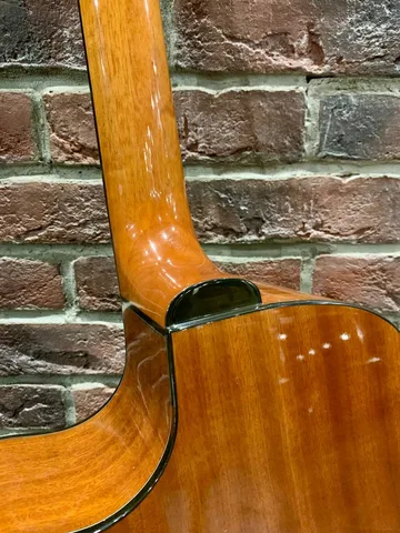 Акустический Бас с Подключением Peavay EQ (Массив Ели)