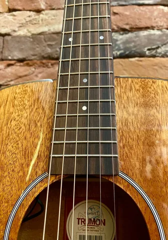Электро-Акустическая Гитара Trumon TS Mini-11eq