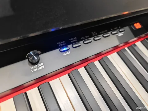 Цифровое Корпусное Пианино NUX 310 BK для Музыкальной Школы (Рояльный звук)