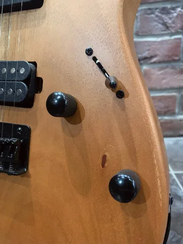Электрогитара Ibanez RG 421 M - изображение 4