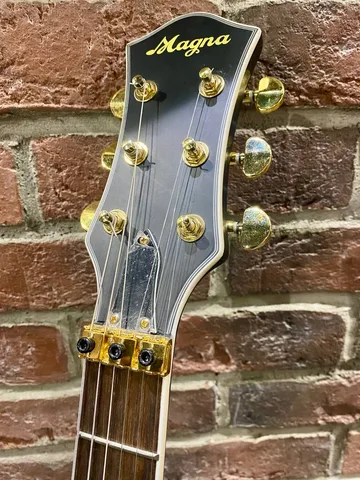 Электрогитара Les Paul Magna (Floyd Rose Edition) - изображение 8