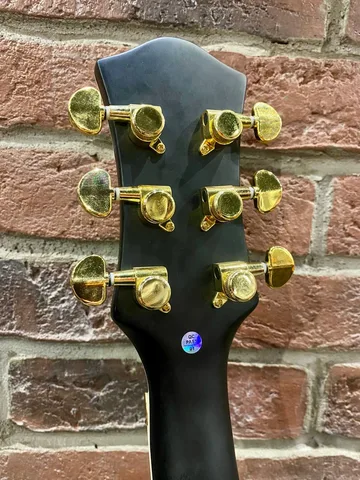 Электрогитара Les Paul Magna (Floyd Rose Edition) - изображение 9