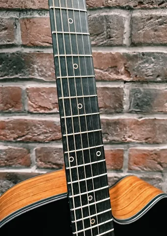 Электроакустика Tagima BKS из Массива Ели