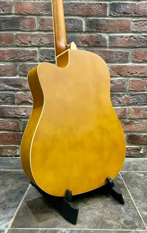 Акустическая Гитара Dreadnought 4120-N для Начинающих